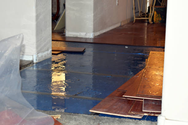 Professional Water Damage Restoration technician working in Lexington, NC